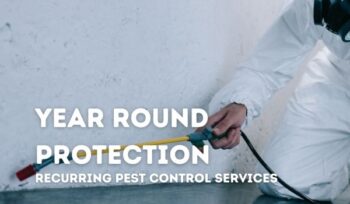 pest control professional performing pest control serrvices