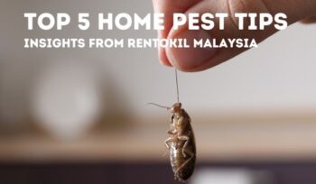 top 5 home pest tips by rentokil malaysia