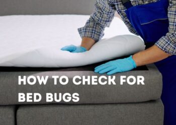 pest expert shows how to check for bed bugs