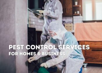 pest control services being conducted