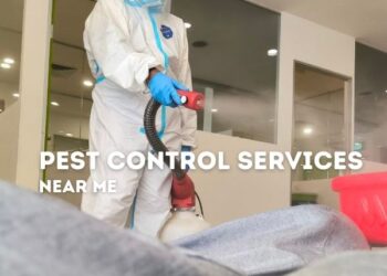 pest control professional spraying pesticides