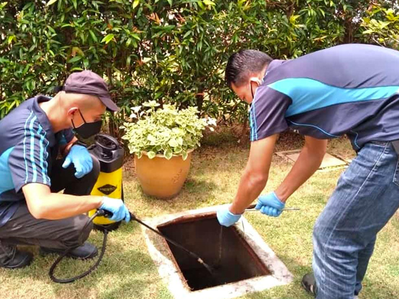 a pair of pest control specialist conducting rat control treatment in a home drainage system