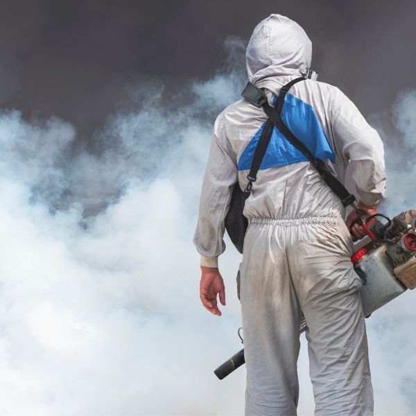 fogging services for mosquito