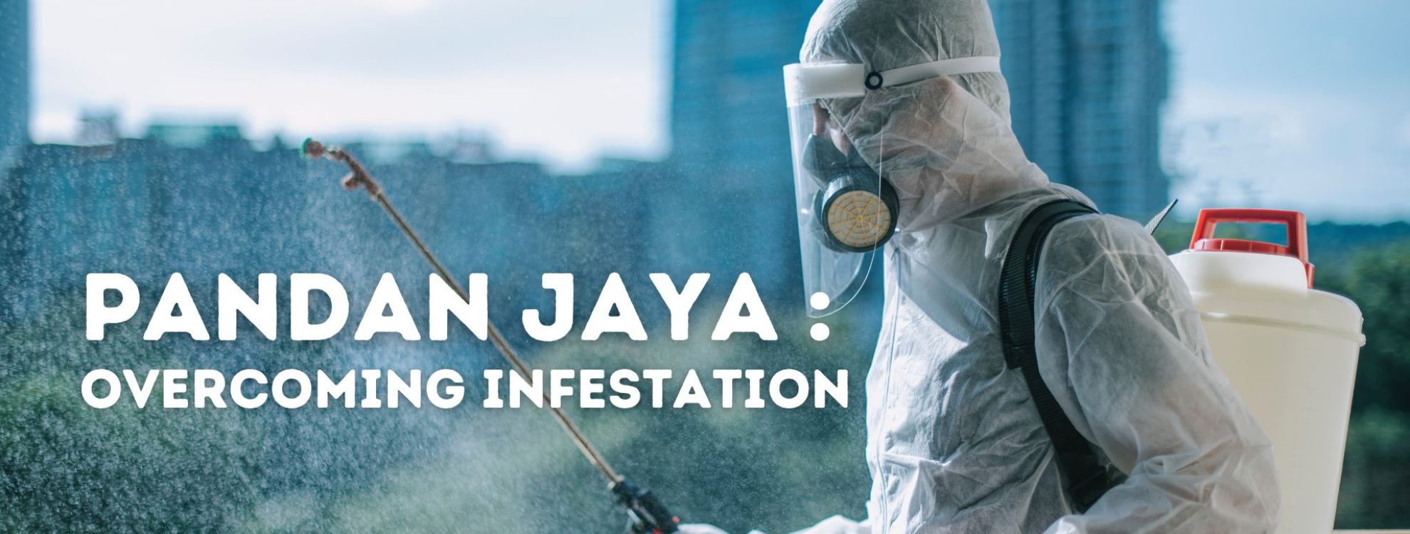 spraying pesticides in pandan jaya in efforts of overcoming infestation
